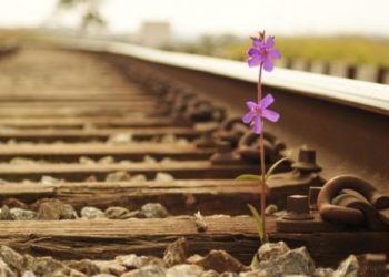 Os desafios do século XXI e a educação do principiante espírita