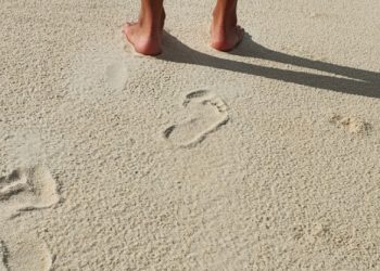 Humildade – mais um passo para a evolução