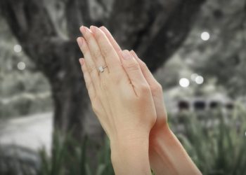 Humildade, orgulho e humilhação