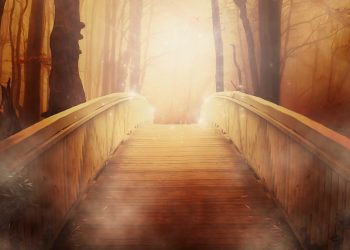 A distrovérsia, um neologismo necessário