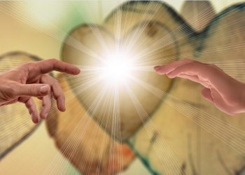 A distrovérsia, um neologismo necessário