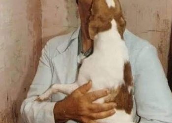 Na Execução da Lei Divina