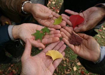 Tolerância nunca é demais